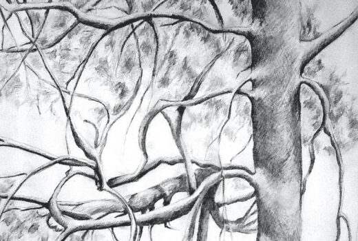 Drawings 11