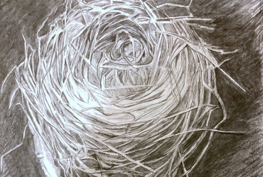 Drawings 14